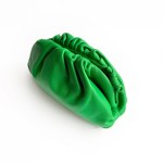 Bottega Veneta The Pouch